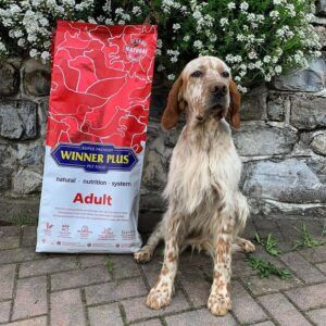 Winner plus Adult hrana super premium pentru caini adulti