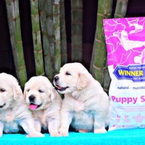 Winner Plus Puppy starter hrana super premium pentru pui de caine si femele gestante
