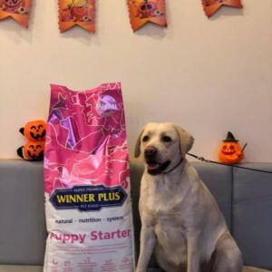 Winner Plus Puppy starter hrana super premium pentru pui de caine si femele gestante