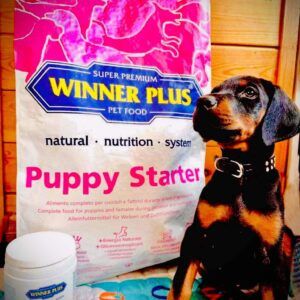 Winner Plus Puppy starter hrana super premium pentru pui de caine si femele gestante