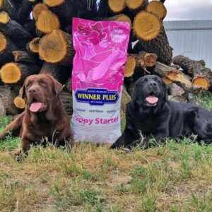 Winner Plus Puppy starter hrana super premium pentru pui de caine si femele gestante