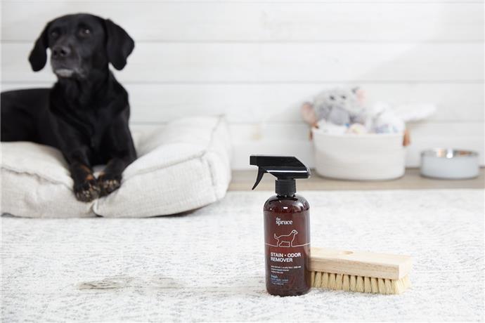 8 trucuri inteligente pentru a va pastra casa curata daca aveti animale de companie 61fe7423b2a9c - Cum să mențineți casa curată daca ai animale de companie