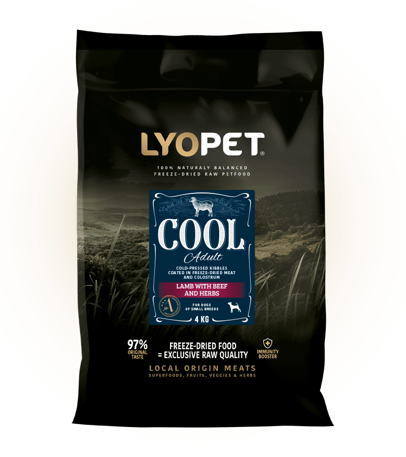 COOL-Adult-Small-Breeds-Lamb-Beef-with-Herbs