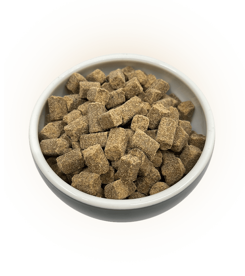 LYOPET Cool Senior / Sistem Digestiv Sensibil – Pește Alb - imagine 2