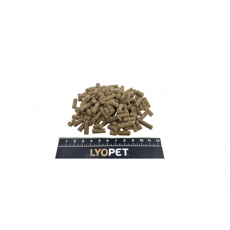 LYOPET Cool Adult Mini - Miel - imagine 3