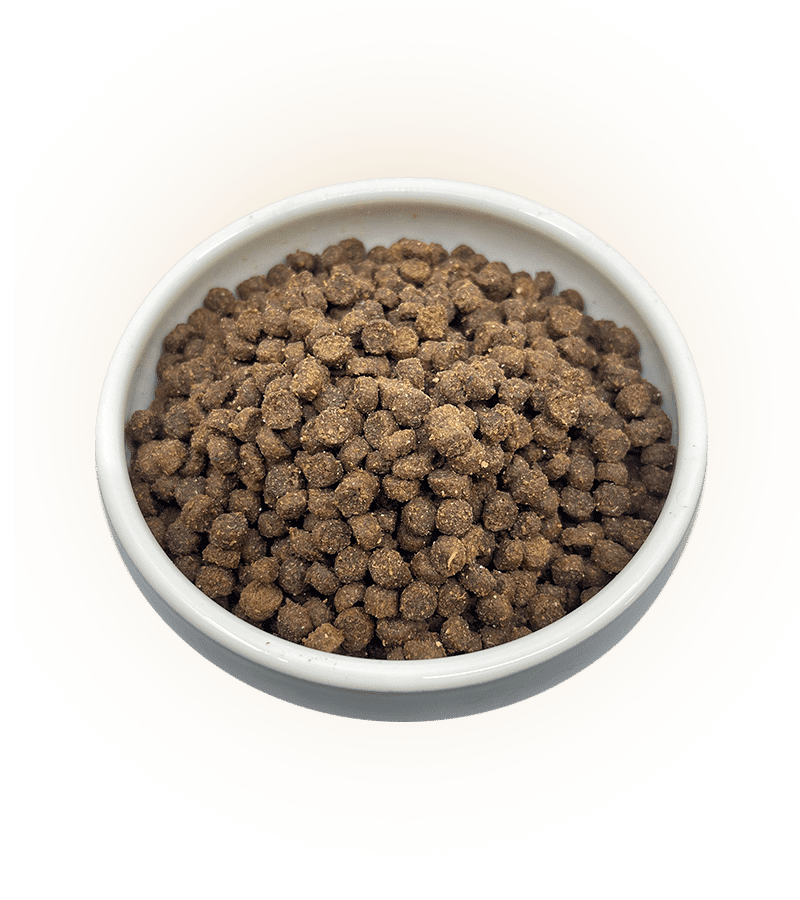 LYOPET Breeder Adult Mini Curcan - imagine 2